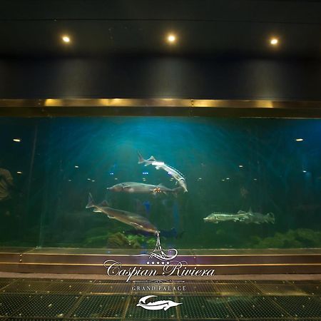 Caspian Riviera Grand Palace Hotel Aktau  Exteriör bild Dolphins at the aquarium